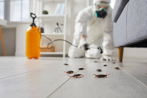 Trusted Termite Control service in East Berwick, PA - Nex Pest Control